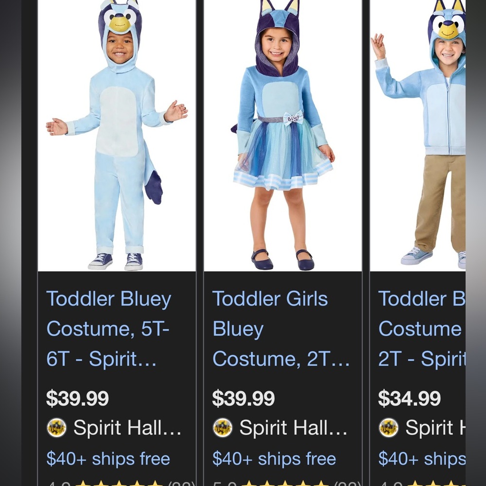 Spirit BLUEY Toddler Costume Size 3T-4T - Picture 9 of 9
